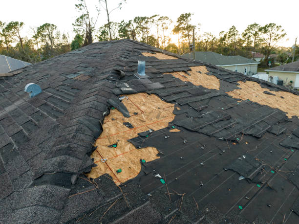 Professional Roofing Services in Topeka, IN